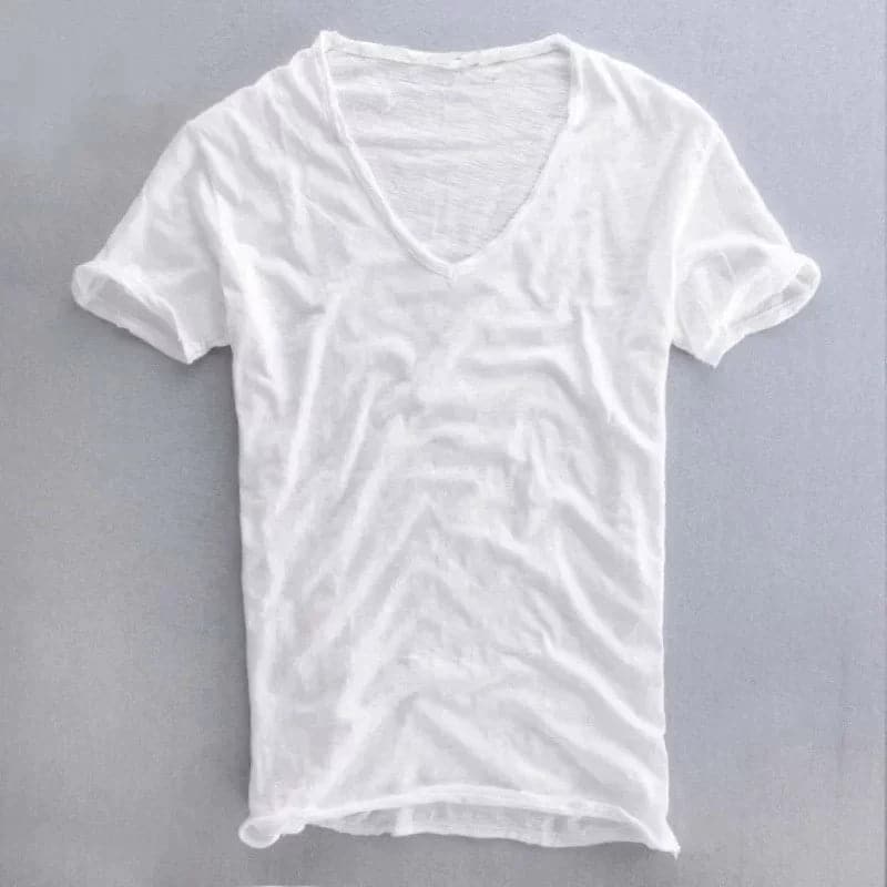 V-neck t-shirt - versatile men's everyday attire